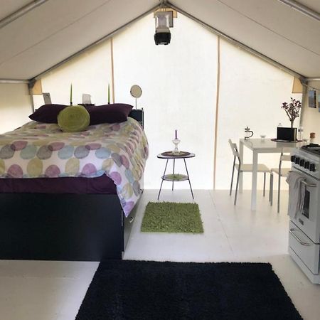 Vines And Puppies Glamping Hideaway Hotel Jade City Екстериор снимка