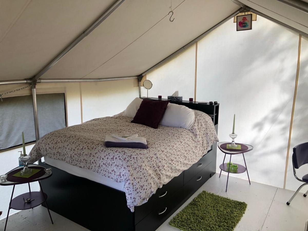 Vines And Puppies Glamping Hideaway Hotel Jade City Екстериор снимка